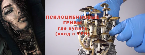 МДПВ Лиски