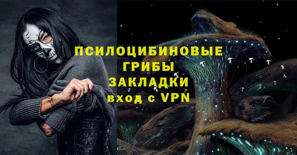 не бодяженный Лабытнанги