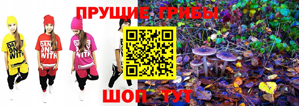 продажа наркотиков  Псилоцибиновые грибы Psilocybe  Еманжелинск  Галлюциногенные грибы Psilocybine cubensis 